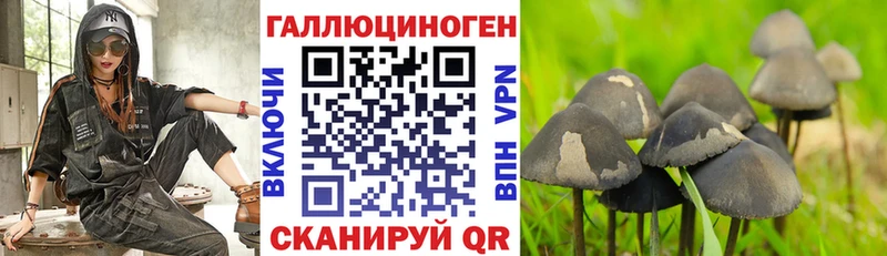 Купить где  Барабинск  Галлюциногенные грибы MAGIC MUSHROOMS 